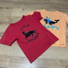 スパンコール　Tシャツの画像