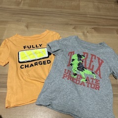 スパンコール　Tシャツの画像