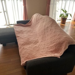 ソファー！の画像