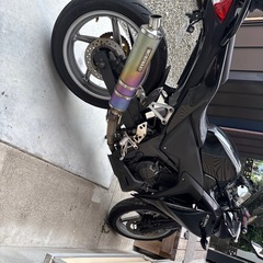 cbr250r (mc41)初期 の画像