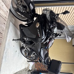 cbr250r (mc41)初期 の画像