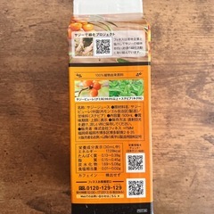 濃潤サジー　サジージュース　健康食品　鉄分　サジーの画像