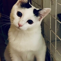 お茶目で無邪気なファミちゃん