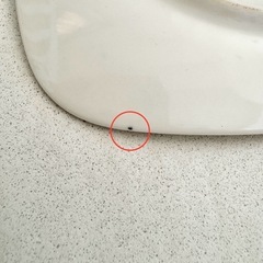 【ネット決済・配送】  未使用　香蘭社　四角形　お皿　平皿　5枚セット　小皿　中皿　お取皿　取り皿　御取皿　デザート　スウィーツ　スイーツ　プレート　花柄　箱付き　露草　梅雨草　ツユクサ　つゆくさの画像