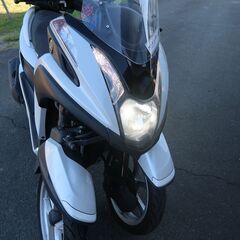 トリシティ、値下げしましたの画像