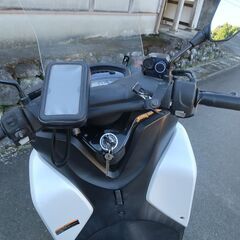 トリシティ、値下げしましたの画像