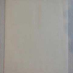 【ONE PIECE】集英社 まんがこども大百科 予約特典レアシールの画像