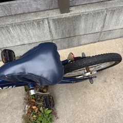 16インチ子供用ルイガノ自転車の画像