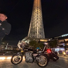 gsx250lのgs仕様ですの画像