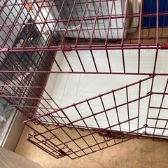 ペットゲージ　リサイクルショップ宮崎屋　佐土原店　25.10.23Fの画像