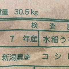 1袋売り切り【令和7年産新潟県産コシヒカリ1等米】の画像