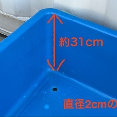 A621◇メダカの飼育に◇大きなトロ舟◇幅106.5cm◇180リットル◇コンテナの画像