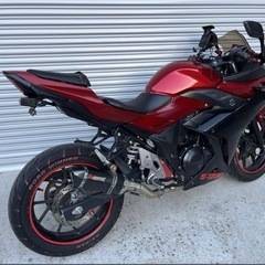 GSX250R セル始動 動画有りの画像