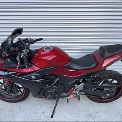 GSX250R セル始動 動画有りの画像