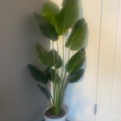 IKEA　フェイクグリーン 観葉植物 造花の画像