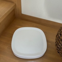 観葉植物★フェイクグリーンの画像