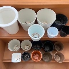 植物 鉢 17個セット プラスチック 植木鉢の画像