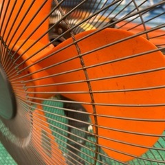 【オレンジの羽を持つ】扇風機（大）の画像