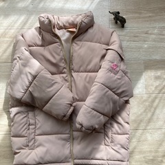 ピコ　ダウン　120の画像
