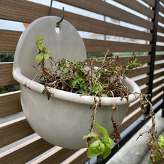 ハンギングポット/鉢の画像