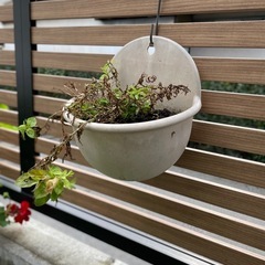 ハンギングポット/鉢の画像