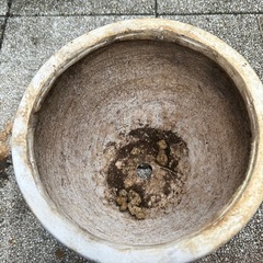 植木鉢の画像