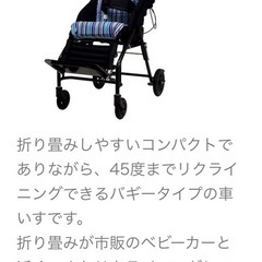 介助用障害児用バギー　 ポスキーバギー2  の画像