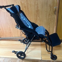 介助用障害児用バギー　 ポスキーバギー2  の画像