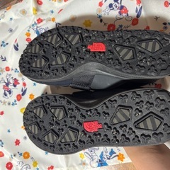 THE NORTH FACE シューズの画像