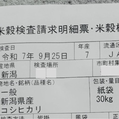 1袋売り切り【令和7年産新潟県産コシヒカリ1等米】の画像