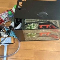 フルセットの画像