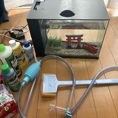 フルセットの画像