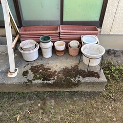 植木鉢、プランターの画像