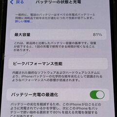 Apple iPhone 13 Pro シエラブルー　256GB 本体の画像