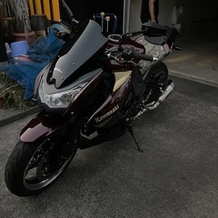 z1000　の画像