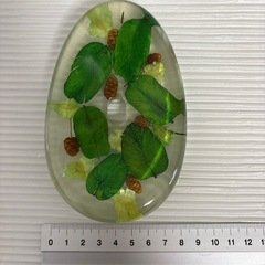 石けん置き の画像
