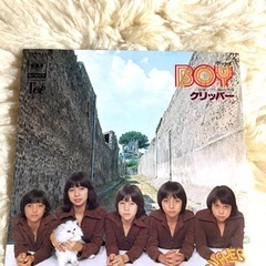 ★【1978年にリリース姉弟グループ「クリッパー」のシングルレコードBOY】の画像