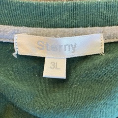 M2510-321 Sterny 半袖 胸ロゴ Tシャツ 3L グリーン 毛玉色あせ有り の画像