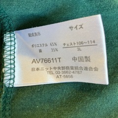 M2510-321 Sterny 半袖 胸ロゴ Tシャツ 3L グリーン 毛玉色あせ有り の画像