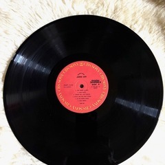 ★【ジャニス・イアンのアルバム『愛の翳り』の日本盤LPレコード】です！の画像