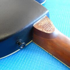 【受付終了】Pro Martin　EA330　プロマーティン　エレアコースティックギター　現状販売　動作未確認の画像