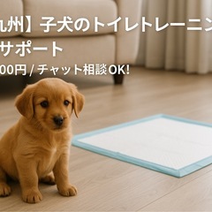 【犬しつけ】子犬のトイレトレーニング出張サポート🐾1回20…