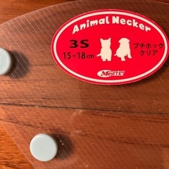 子猫用エリザベスカラーの画像