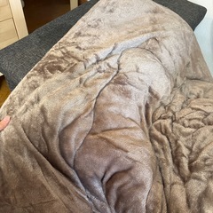 【美品】
長方形コタツ布団セット の画像