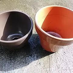 素鉢の画像