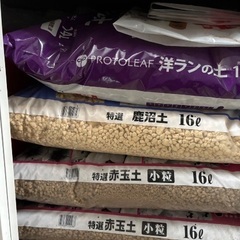 アヤメ、金のなる木、赤玉土、鹿沼土、洋ランの土の画像