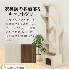 美品　キャットタワー　猫タワー　木製　キャットシェルフ　　シェルフ　家具調　棚の画像
