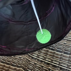 猫用トンネルの画像