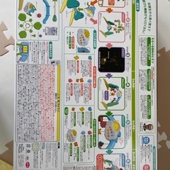プーメリーの画像