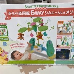 プーメリーの画像